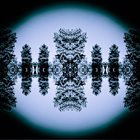 .. Album Cover