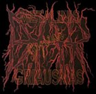 D.A.R. Metalinis Griausmas gyvai album cover