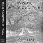 DARK SANCTUARY Bruises album cover