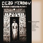 DEAD MEADOW Peel Sessions album cover
