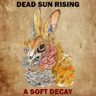 DEAD SUN RISING A Soft Decay album cover