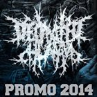 DECIMATED HUMANS Promo 2014 album cover