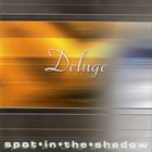 DELUGE Spot In The Shadow album cover