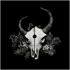 DEMON HUNTER Summer Of Darkness album cover