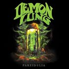 DEMON LUNG Pareidolia album cover