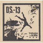 DEMON SYSTEM 13 Thrash And Burn album cover