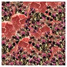 DENDROPHILIA Dendrophilia album cover