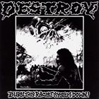 DESTROY! Burn This Racist System Down! album cover