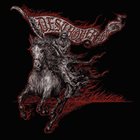 DESTRÖYER 666 Wildfire album cover