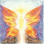 DIAPASON Polycolor Butterfly album cover