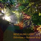 DILUVIUM Revealing Light (with Natures Way) album cover