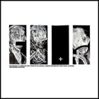 DIVIDER Bone Dance / Divider / Plebeian Grandstand album cover