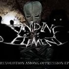 DIVIDING THE ELEMENT Revolution Among Oppression album cover