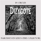 DIZYGOTE In Circles album cover