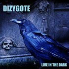 DIZYGOTE Live In The Dark album cover