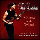 TIM DONAHUE Voices in the Wind album cover