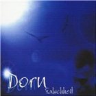 DORN Falschheit album cover