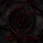 DRAAKA ROUGE Beneath Thorns & Fog album cover