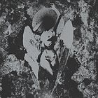 DROPDEAD Converge / Dropdead album cover