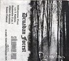 DRUADAN FOREST Druadan Forest album cover