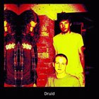 DRUID (MO) Alter Stone album cover