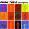 DRUNK HORSE Tanning Salon album cover