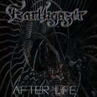 EARTHGAZER Darkmatter​:​ Afterlife album cover
