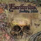 EARTHRIDE Something Wicked album cover