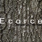 ECORCE Ordeals Of The Void album cover