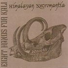 EIGHT HANDS FOR KALI Himalayan Necromantia album cover