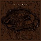 ELODEA Voyager album cover