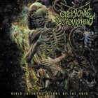 EMBRYONIC DEVOURMENT Vivid Interpretations of the Void album cover