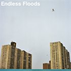 ENDLESS FLOODS II album cover