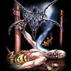 ENMITY Morbid Portrait album cover