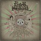 ENTER SHIKARI Take To The Skies album cover