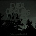EVER CIRCLING WOLVES Picturesque, Petrified album cover