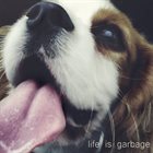 EVERYTHING IS TERRIBLE Life Is Garbage album cover