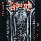 EXCRUCIATE Passage of Life album cover