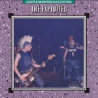 THE EXPLOITED Castle Masters Collection album cover