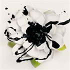 White Lotus album cover