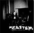 FEASTEM Psychotic Excess album cover