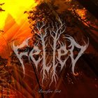 FELLED Bonefire Grit album cover