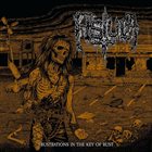 FISTULA (OH) Frustrations In The Key Of Rust album cover