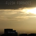 FLESH FORBADES Breaking the Skylines album cover