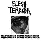 FLESH TERROR Basement Sesh Demo Reel album cover