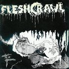 FLESHCRAWL Lost in a Grave album cover