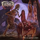 FLESHER Tales Of Grotesque Demise album cover