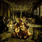 FLESHROT Decomposition of Humanity album cover