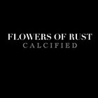 FLOWERS OF RUST Calcified album cover