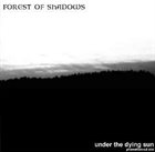 FOREST OF SHADOWS Under the Dying Sun (Promo) album cover
